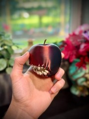{Unpainted} Mimic Apple – The Devil Fruit – Fanged Apple of EVVVIIIIILLLLLLL!