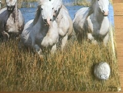1979 Verkerke White Horses In The Camargue Large Original Poster 62.5″X 21″ #2