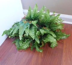 Artificial Blooming Boston Fern Bush Silk Fern Leaf Plants Grass (set of 4)