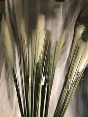 MAINSTAYS GR Grass Stems Decorative Faux Greenery Floral NEW 12 Stems Cream NWT