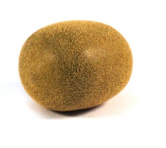 Artificial Kiwi Large – Plastic Decorative Fruit Kiwis Green Textured