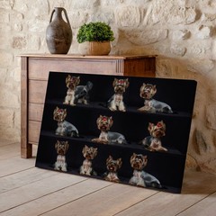 Yorkshire Terrier Dog Collage Canvas Wall Art Small Dog Portrait Decoration