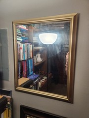 Vintage Gold Acrylic Framed Wall Mirror Accent Mirror • 22½»×18½»