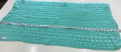 Lap Baby Unisex Afghan Blanket Prayer Shawl Aqua Handmade Crocheted 40”X 22”