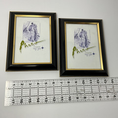 Black and Gold 5×7 Plastic Acrylic Picture Frames set of 2