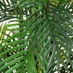 12’ UV Resistant Artificial Areca Palm Tree (Indoor/Outdoor). Retail $544