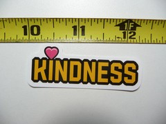 KINDNESS HEART SMALL STICKER DECAL MOTIVATIONAL POSITIVE ATTITUDE FUNNY