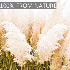 10Pcs 40» Pampas Grass Tall Decor – Pompas Floral, Tall Pampas Grass for Floor