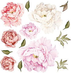 Nother Peonies Wall Decals Peony Floral Wall Decal Rose Bouquet Flowers Peel and