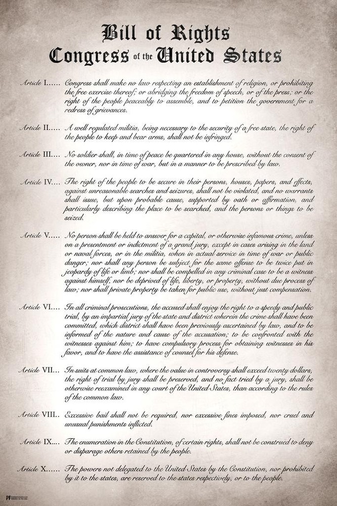 Bill of Rights Ten Amendments Remastered US Historical Document Poster 16×24