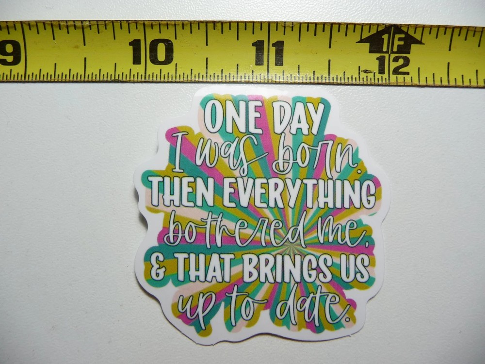 BORN EVERYTHING BOTHERED ME UP TO DATE SMALL STICKER DECAL FUNNY SAYING SNARKY