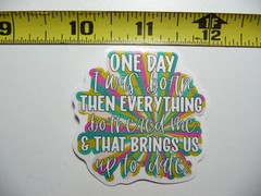 BORN EVERYTHING BOTHERED ME UP TO DATE SMALL STICKER DECAL FUNNY SAYING SNARKY