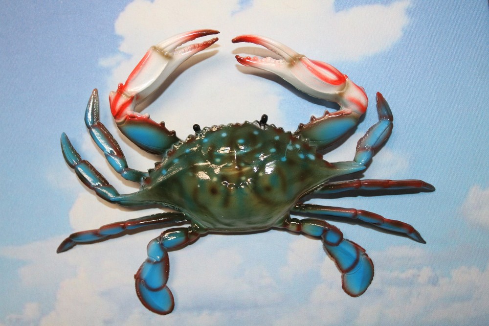 1-BLUE CRAB 10 Inch Wall Hanging,Life Like Specifics,Beach Decor,Gifts,CR-10