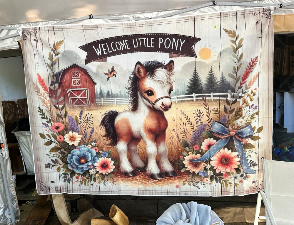 Kids Multicolor Pony Animal Wall Tapestry, Horizontal Fabric Wall Hanging