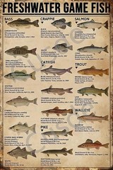 Vintage Fish Sign Freshwater Game Fish Aluminum Sign 8×12 Size Funny
