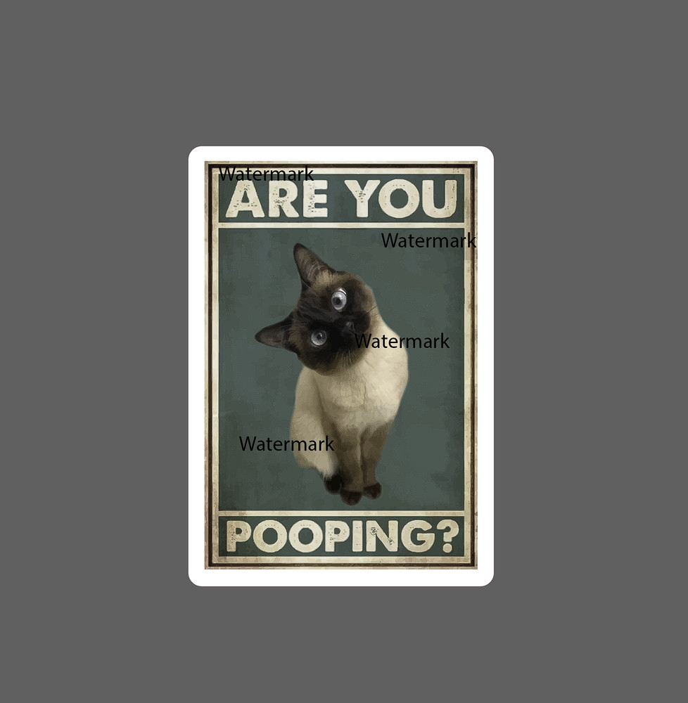 Are You Pooping Sticker Cat Curiosity NEW – Buy Any 4 For $1.75 EACH Storewide!