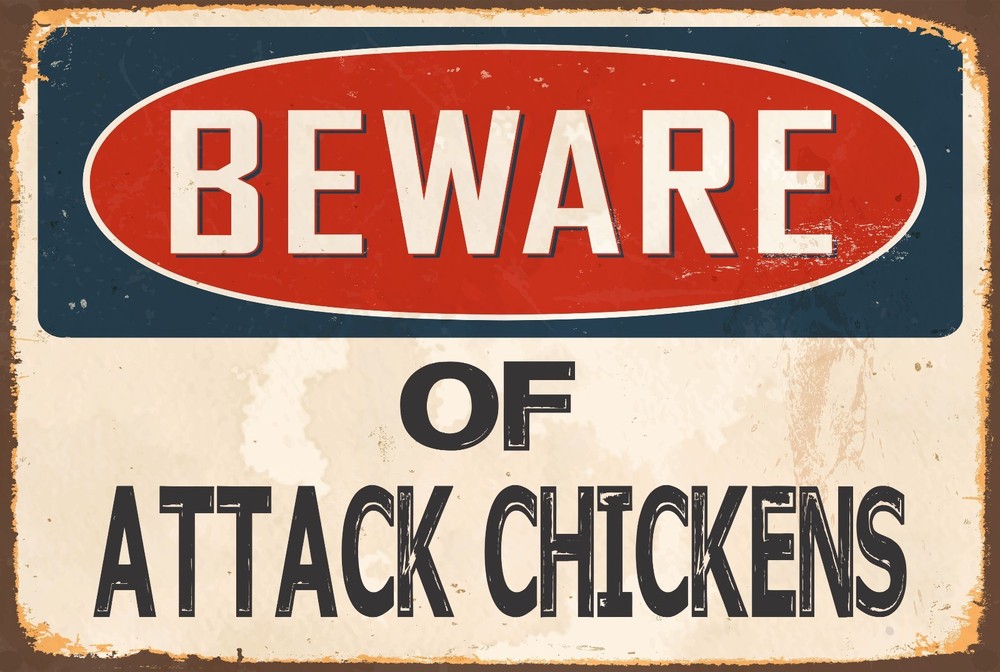 BEWARE of ATTACK CHICKENS Aluminum 8×12 Metal Novelty Vintage Reproduction Sign