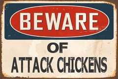 BEWARE of ATTACK CHICKENS Aluminum 8×12 Metal Novelty Vintage Reproduction Sign