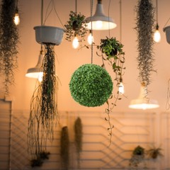 Hanging Grass Ball Wicker Park Spheres Simulated Grass Ball Milano Muicle Plants