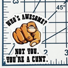 Vinyl Sticker Who’s Awesome Not You Rude Sarcastic Prank Gag Gift Adult Joke