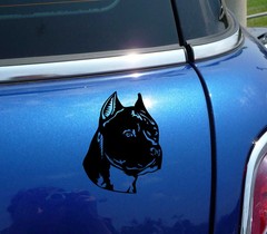 AMERICAN STAFFORDSHIRE AM STAFF HEAD PORTRAIT DOG FUNNY DECAL STICKER DECOR