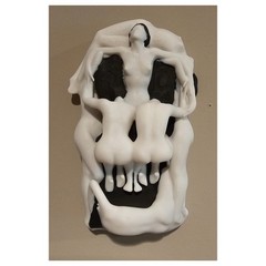 Salvadore Dali Skull Women 3D Print Wall Decor Art – Gift Valentines Day 8″x3″x2