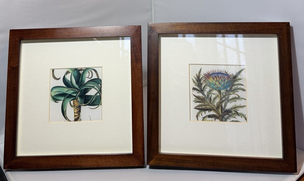 Set Of 2 Pottery Barn Framed Botanicals Artwork Room Decor 9” X 9”