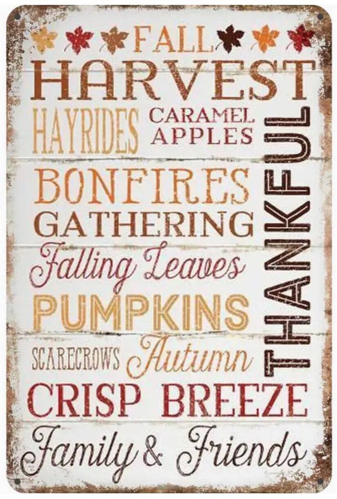 Vintage Retro Style Fall Thankful Pumpkin Metal Sign Autumn Words