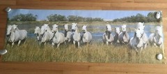 1979 Verkerke White Horses In The Camargue Large Poster 62.5″X 21″ #2