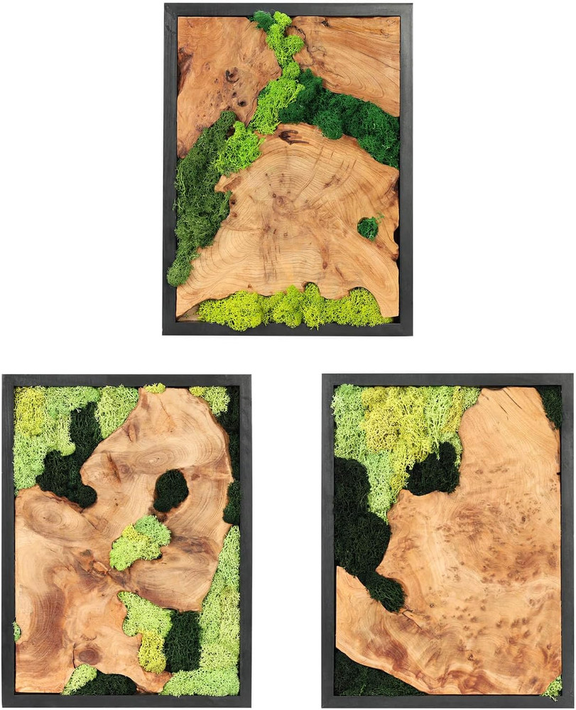 Rustic Natural Moss Wall Art – Handcrafted Decor for Any Room, No Maintenance