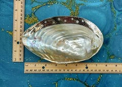 Silver Plated Footed Clam Seashell Dish (1 shell dish approx. 7+ inches) B GRADE