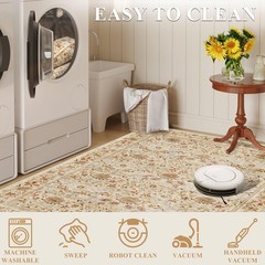 DUKINO 4×6 Rugs for Living Room, Lightweight Non Slip Washable Rug with Low P…