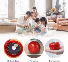 Kitchen Tomato Timer Satin Metal Ringing Alarm For Child Cooking Homework