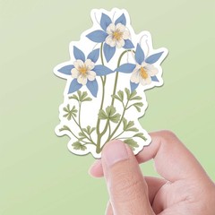 Colorado Columbine Flower Sticker
