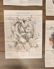 Floral Anatomy Canvas Wall Hangings 8×10 4pc Set Art Prints Home Decor New