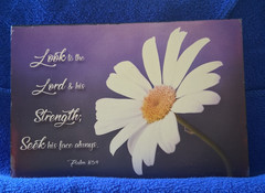 Look to the Lord & His Strength Photo Block, Scripture with Daisy (6″ x 4″ x 1″)