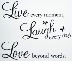 Live Every Moment, Laugh Every Day, Love Beyond Words Wall Quote Vinyl Decal
