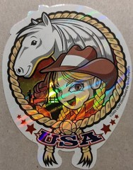 2003 Y2K ODM ZUM Brand Imports Prism Holo Girl Power Vending Sticker, USA Horse