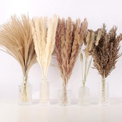 75pc Dried Pampas Grass Decor White Brown Fluffy Bouquet Boho Wedding Table Vase