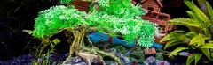 Aquarium Bonsai Tree Plant Fish Tank Decorations Medium/Large Resin Plastic