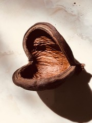 1pc Fall Pod Dried Decor 6 Inches