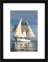 12X16 Picture Frame Display Pictures 8.5X11 with Mat or 12 X 16 without Mat for