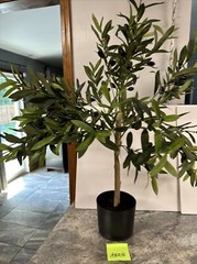 RARE 36” Wicker Park Faux OLIVE TREE 3ft Indoor Outdoor Landscape Growers Pot