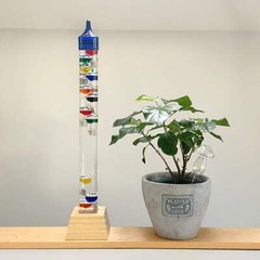 25″ Tall Square Tube Galileo Thermometer With Wooden Base