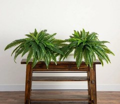 21 In. UV Resistant Artificial Boston Fern (Indoor/Outdoor)-(Set of 2)