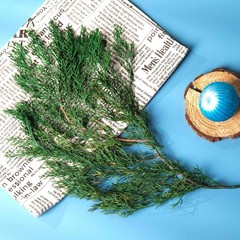 4OZ Preserved Real Pine Leaves Branches -17» Natural Greenery Plants Twigs S…