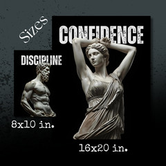 Discipline Focus Mindset Confidence Gym Wall Poster Art Print Home Decor Workout