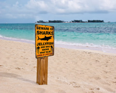Shark and Jellyfish Warning Funny Metal Sign