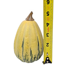 Pottery Barn Set of 4 Faux Gourds & Pumpkins Fall/Autumn Harvest Thanksgiving