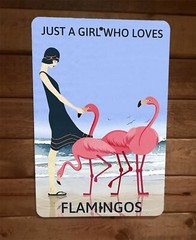 Just a Beach Girl Who Loves Flamingos 8×12 Metal Wall Sign Animal Poster